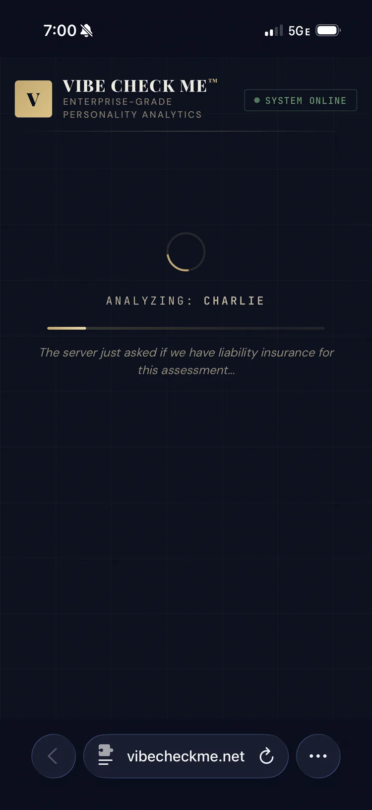 VibeCheckMe analyzing a name with a loading spinner and humorous status message