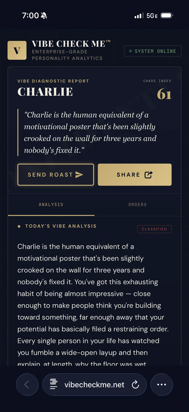 VibeCheckMe Vibe Diagnostic Report showing Chaos Index, roast text, and share buttons
